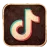 TikTok Icon